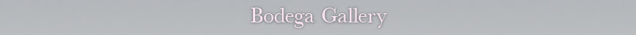 Bodega Gallery Footer